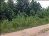 View #2 from road