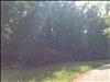 View of Adams Creek Prope
